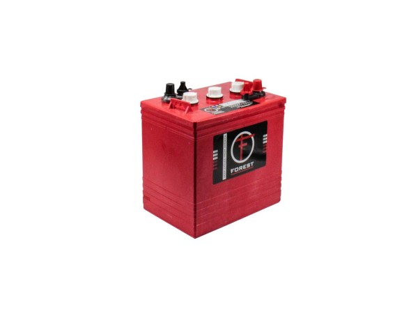 FOREST 6V 195A SEMITRACTION BATTERY - 1011852 - Batteries | GAM Online
